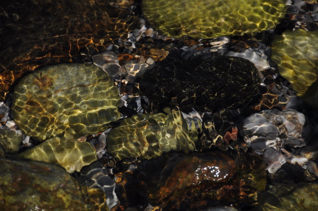 DSC_0746.jpg