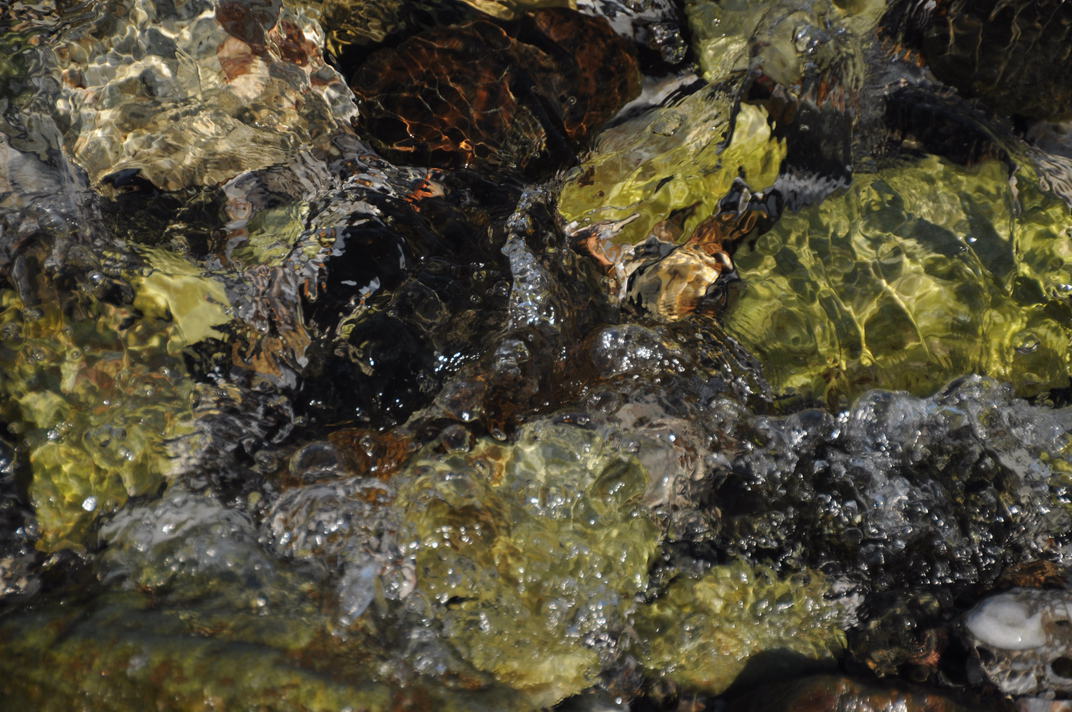 DSC_0749.jpg