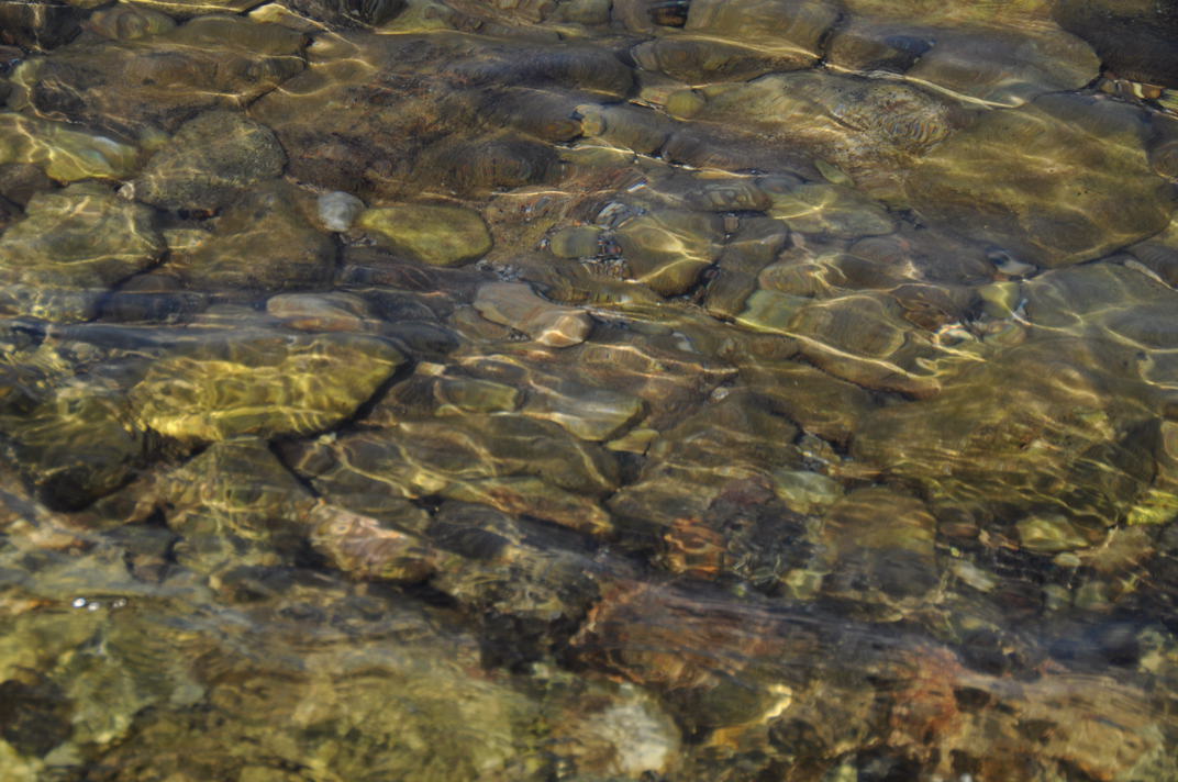 DSC_0751.jpg