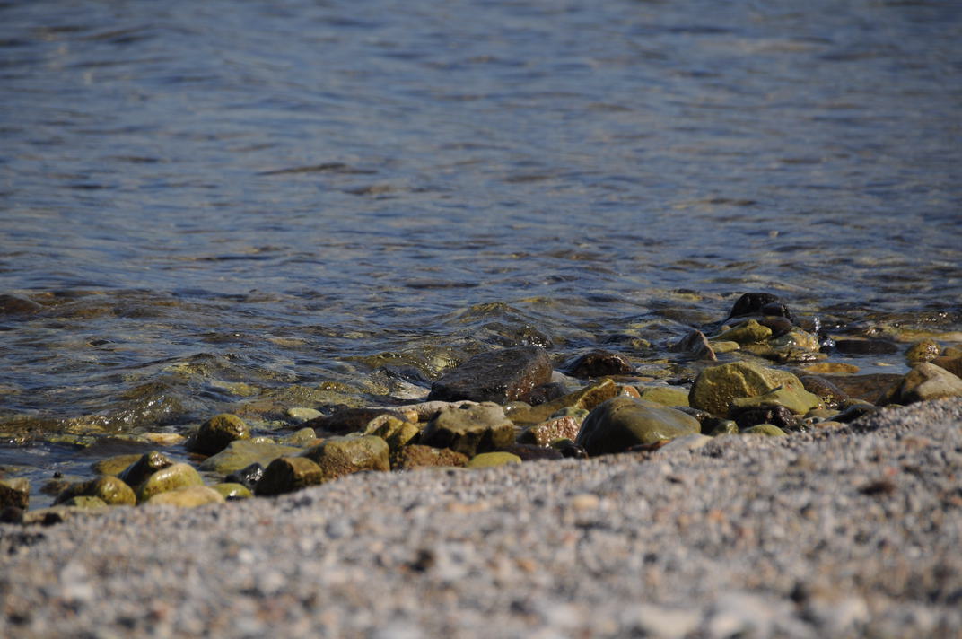 DSC_0755.jpg