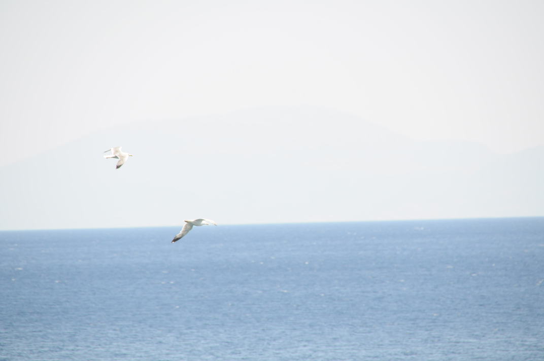 DSC_0899.jpg