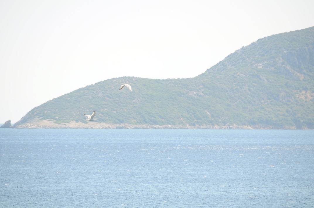 DSC_0908.jpg