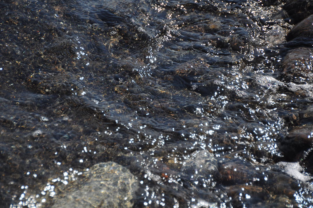 DSC_0997.jpg